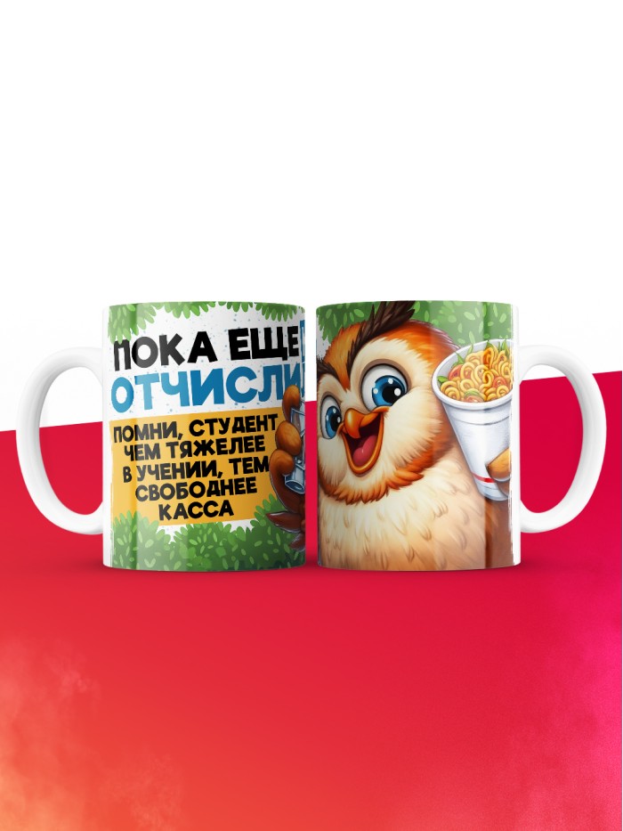 Кружка прикол для студента  Истра