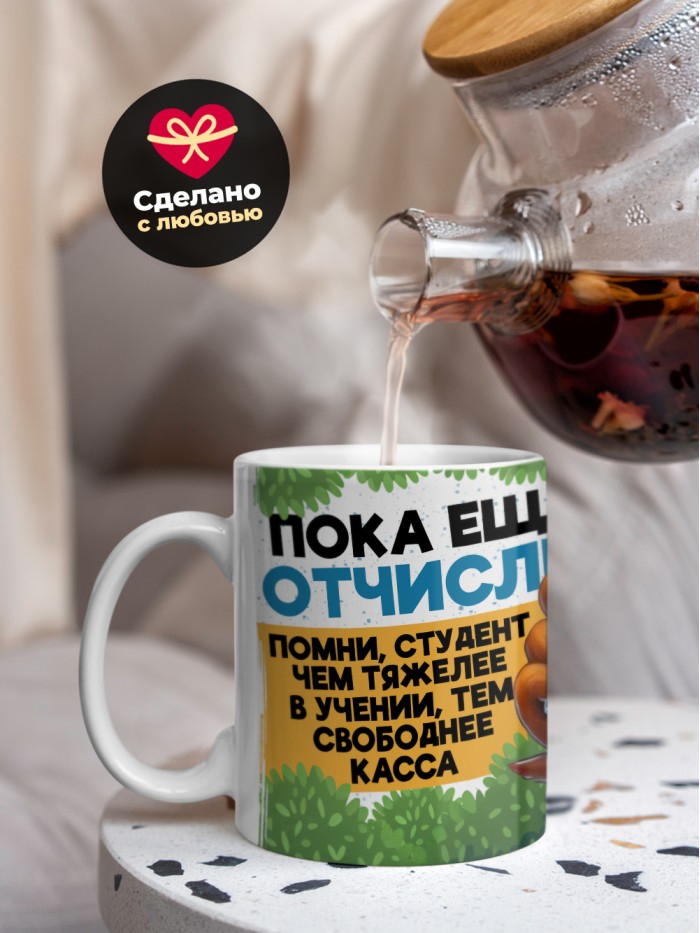 Кружка прикол для студента  Истра