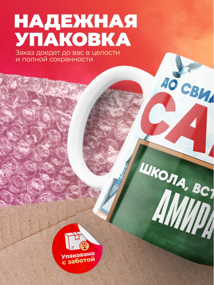Кружка школа встречай Амира  Истра