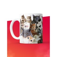 Кружка с принтом: Мы, котики, мем, белая, 330 мл.