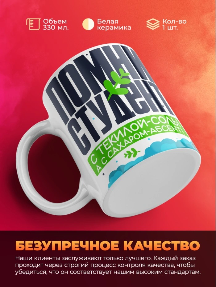 Кружка с приколом на день студента  Истра