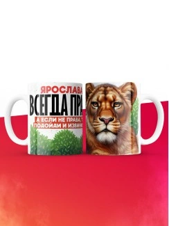 Кружка Ярослава всегда права