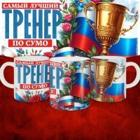 Кружка с принтом: Самый лучший тренер по По Сумо, белая, 330 мл